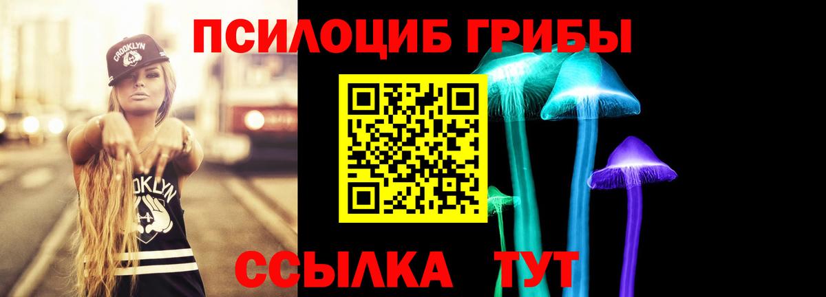 Псилоцибиновые грибы Psilocybine cubensis Каменск-Уральский